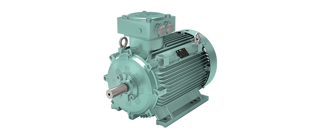 Explosion-Proof Low Voltage Motors | OMEX