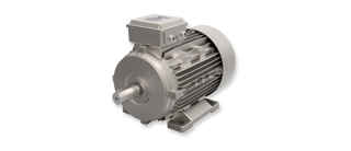 GOST Motors